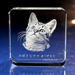 ペーパーウェイト｜クリアスクエア
