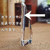 ���芴���Q�̃t�H�����b���h-DP-18�b���h�ސE�L�O�i�b�L�O�i.com